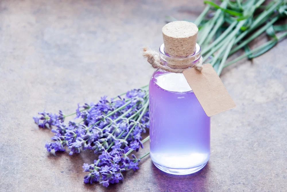 Levanduľový sirup: pripravte si chutnú zdravú bombu